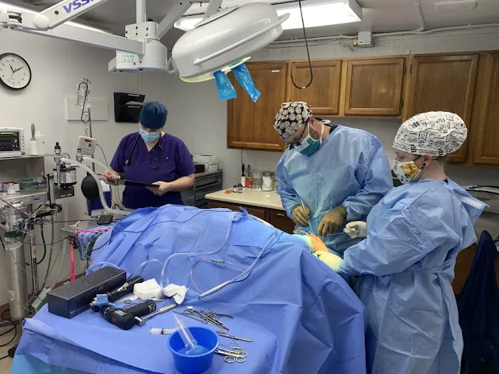 Columbine Animal Hospital 7