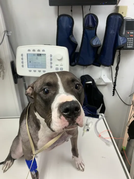 Columbine Animal Hospital 4