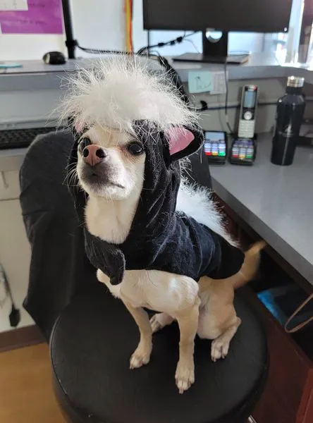 Columbine Animal Hospital 9