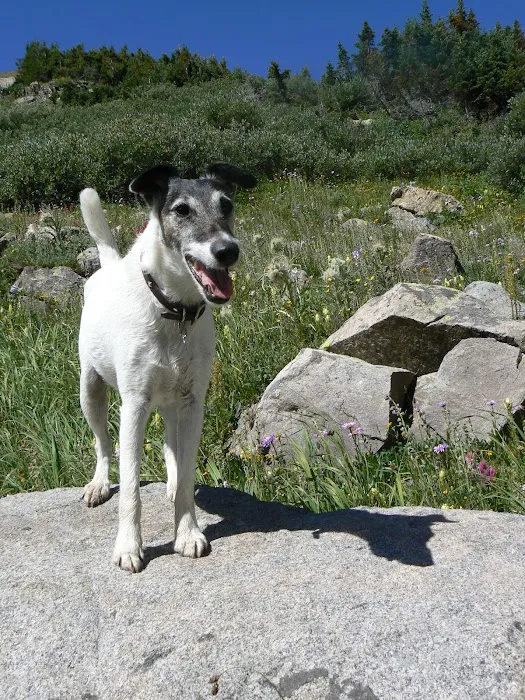 Quebec Highlands Animal Clinic 3