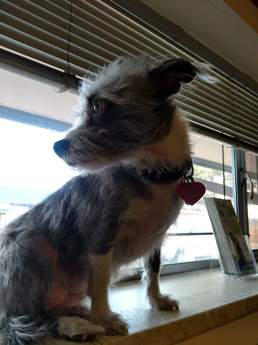 Pets R Us Aurora 6