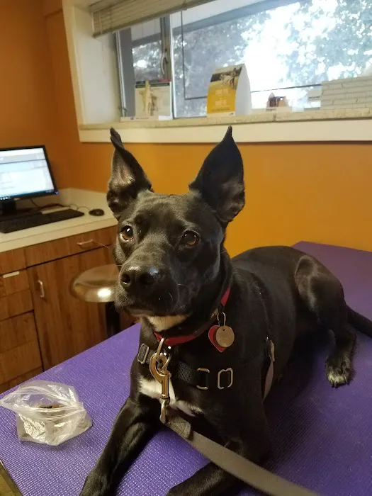 Pets R Us Aurora 7