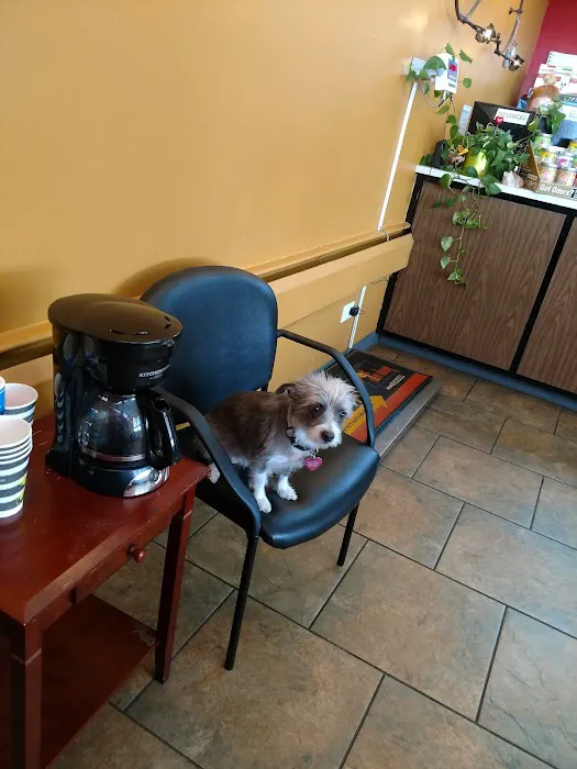 Pets R Us Aurora 4