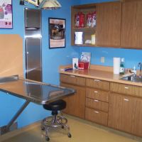 VCA Southeast Area Animal Hospital ico