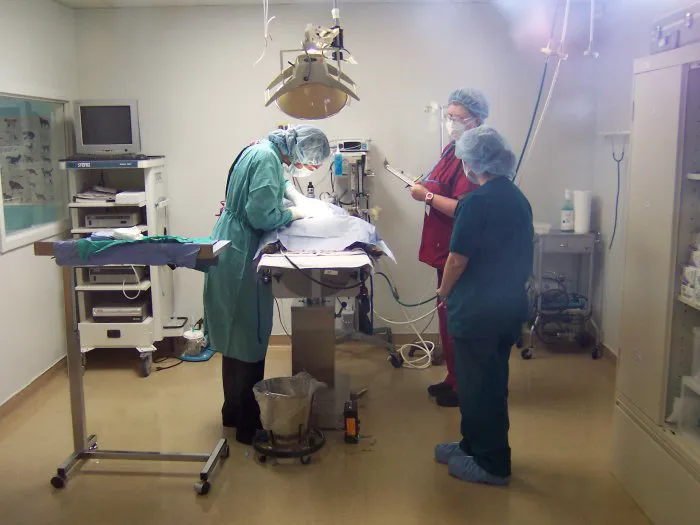 VCA Southeast Area Animal Hospital 4