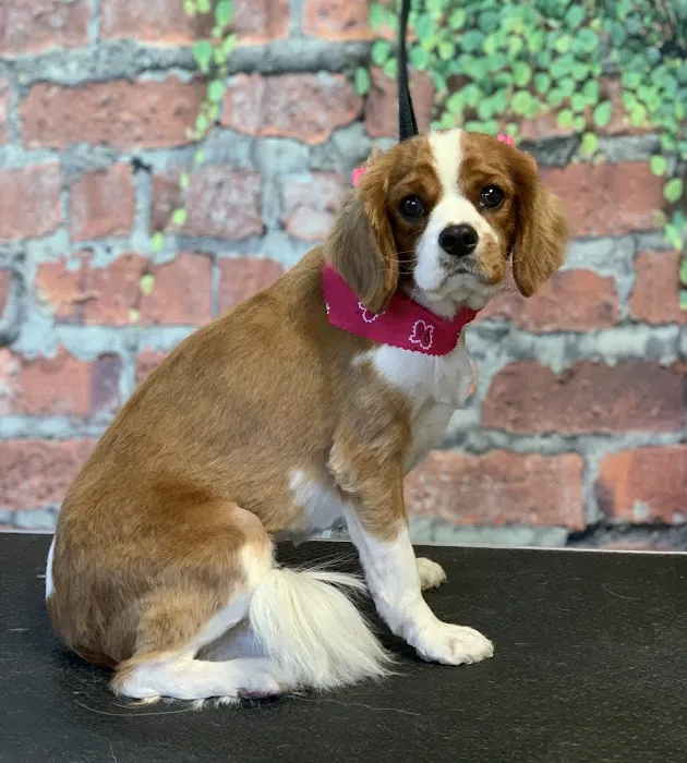 VCA Southeast Area Animal Hospital 7