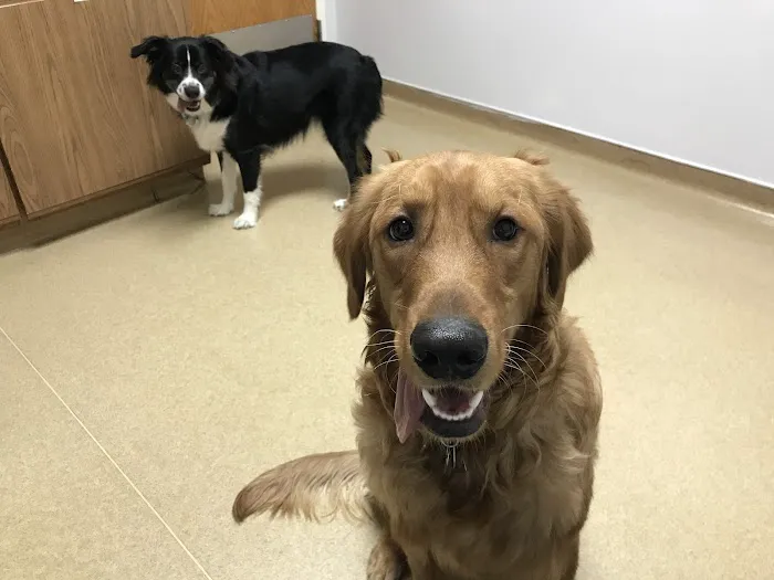 VCA Southeast Area Animal Hospital 2