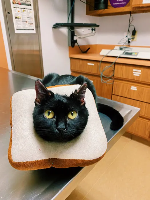 VCA Southeast Area Animal Hospital 6
