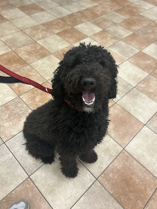 Banfield Pet Hospital 1
