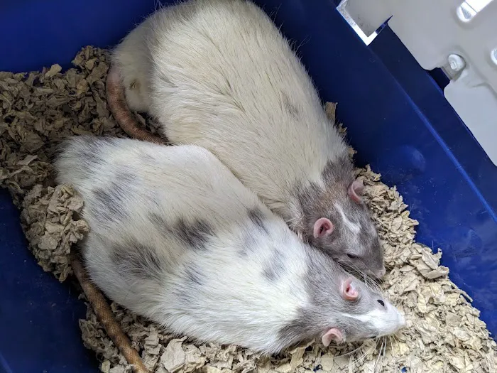 Homestead Animal Hospital 2