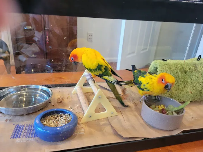 Homestead Animal Hospital 6