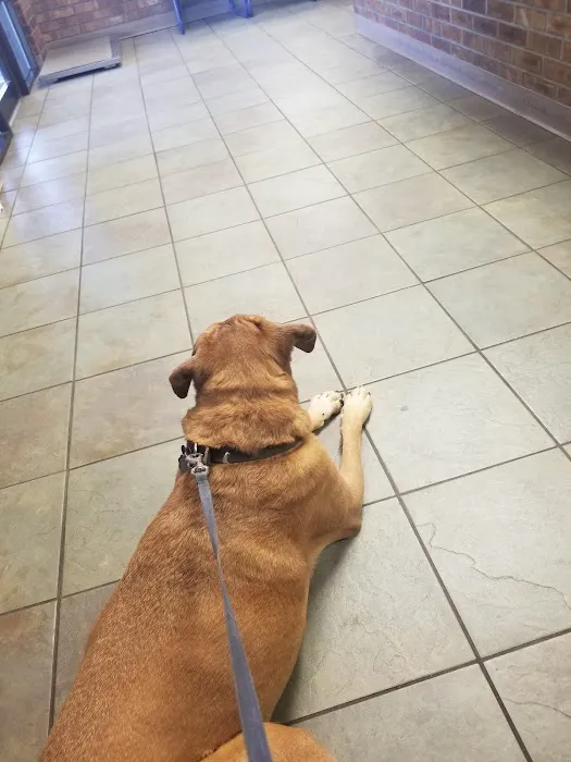 Homestead Animal Hospital 3