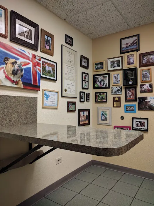 Homestead Animal Hospital 10