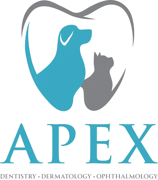 Apex Veterinary Specialists - Dermatology 12