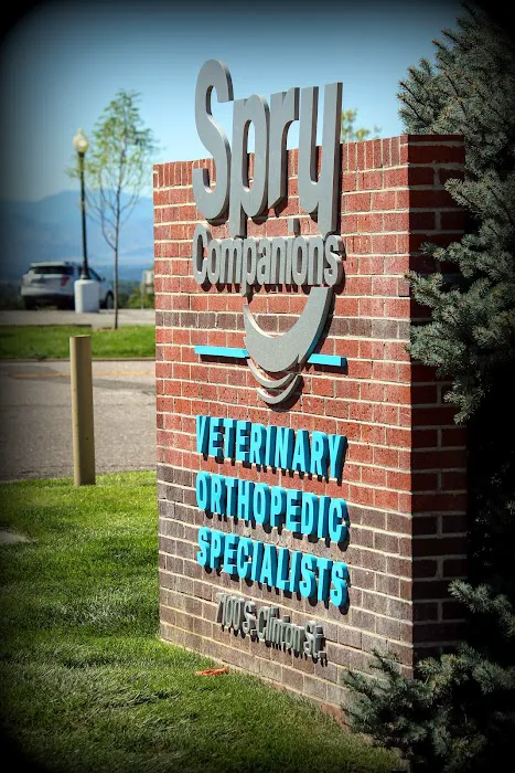 Spry Companions: Veterinary Orthopedic Specialists 6
