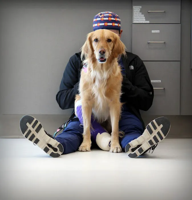 Spry Companions: Veterinary Orthopedic Specialists 2