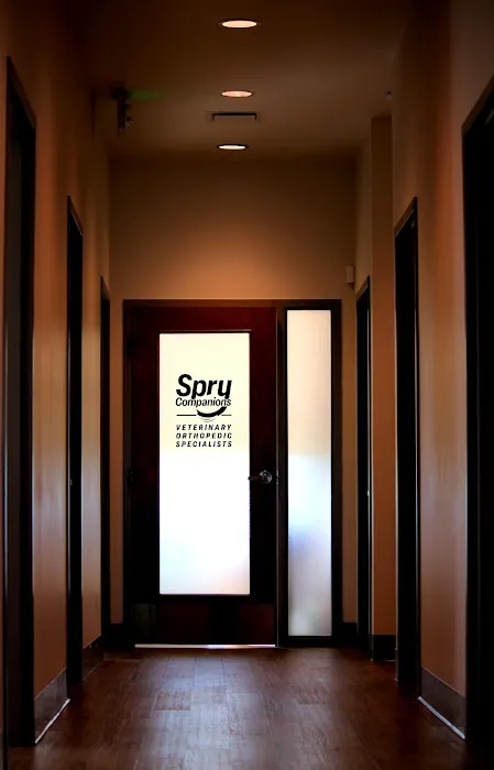 Spry Companions: Veterinary Orthopedic Specialists 4