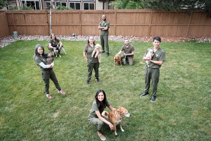 The Mobile Pawlyclinic 10