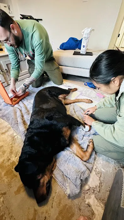 The Mobile Pawlyclinic 8