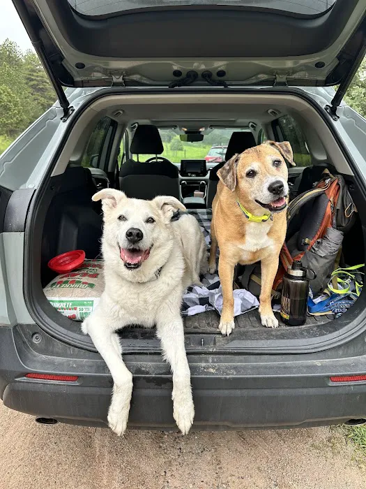 The Mobile Pawlyclinic 5