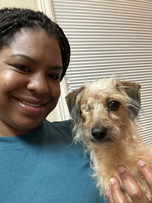 Eye Specialists for Animals 12