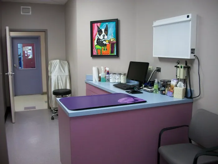 VCA Orchard Animal Hospital 6