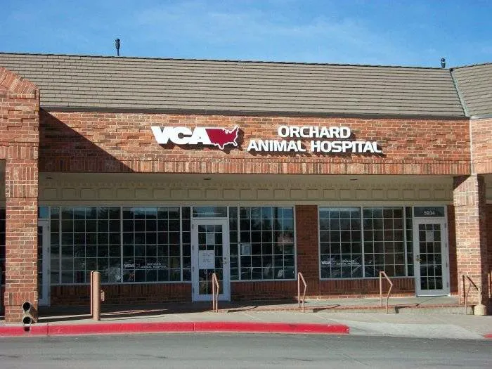 VCA Orchard Animal Hospital 10