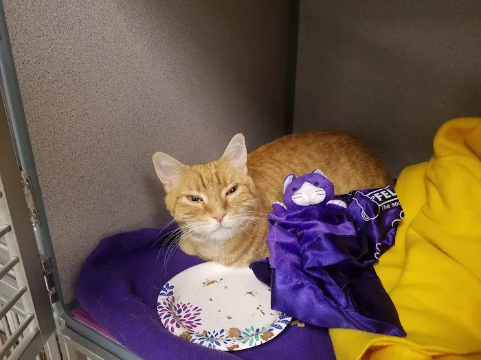 Critter Care Animal Hospital 7
