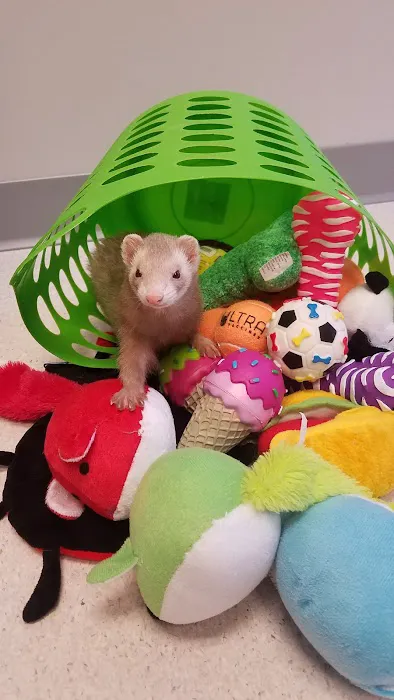 Critter Care Animal Hospital 5