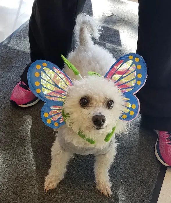 Critter Care Animal Hospital 10