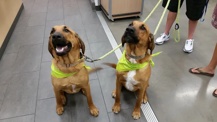 Banfield Pet Hospital 3