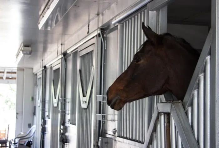 Littleton Equine Medical Center 3