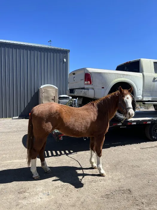 Littleton Equine Medical Center 9