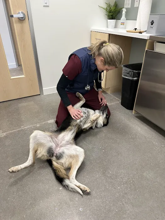 The Ranch Veterinary Hospital 3