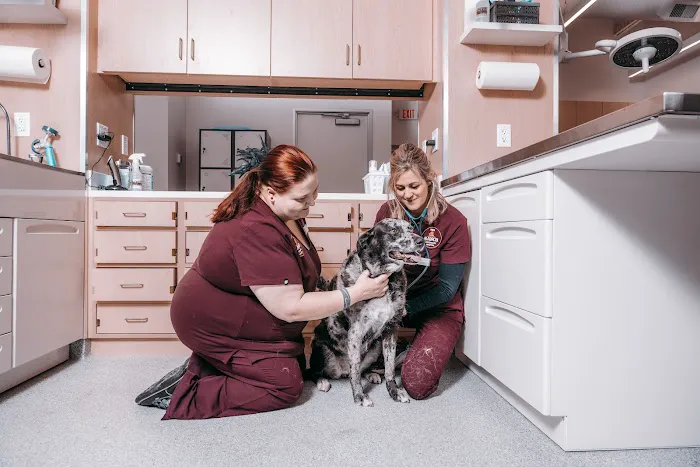 The Ranch Veterinary Hospital 5