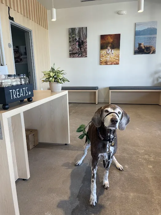 The Ranch Veterinary Hospital 10