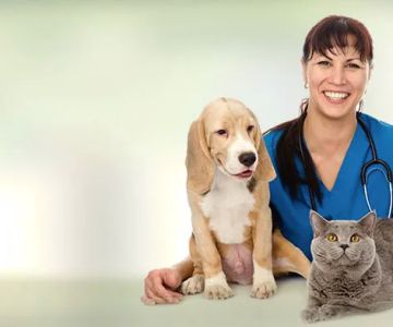 Animal Care Center of Aurora