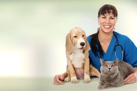 Animal Care Center of Aurora