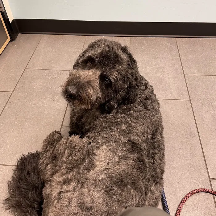 Banfield Pet Hospital 3