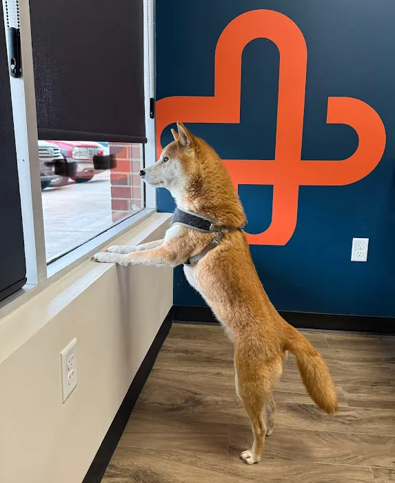 CityVet | Aurora + Urgent Care 12