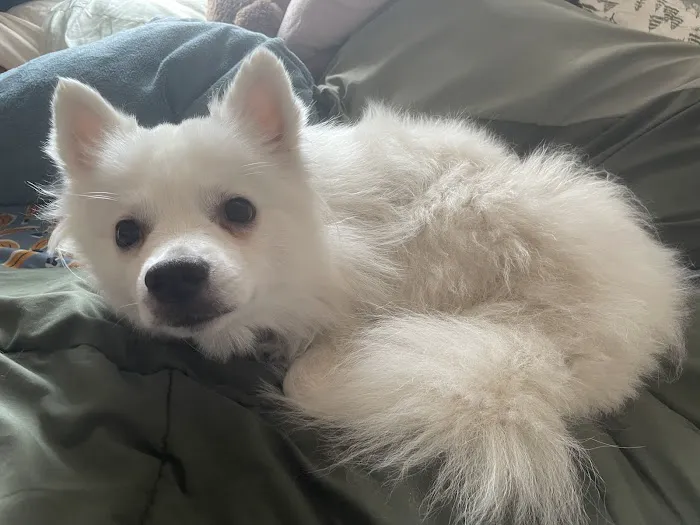 CityVet | Aurora + Urgent Care 12