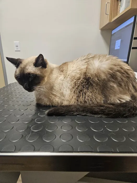 CityVet | Aurora + Urgent Care 12