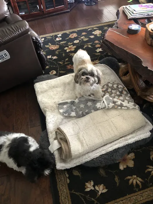 CityVet | Aurora + Urgent Care 12