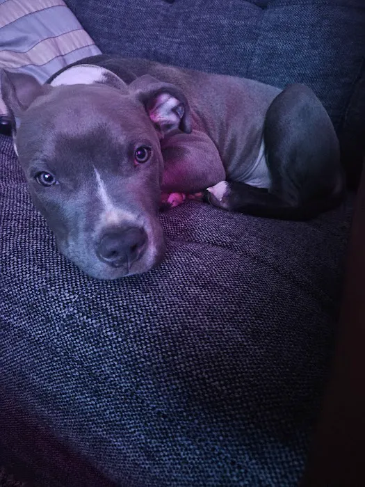 CityVet | Aurora + Urgent Care 12