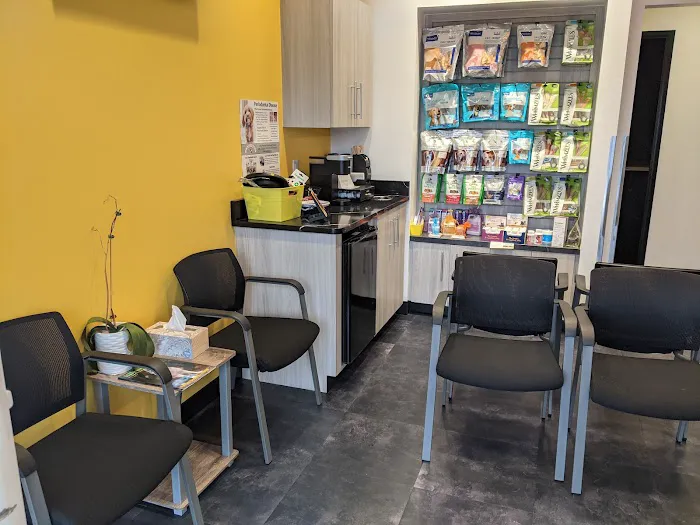 Animal Dental Clinic 12