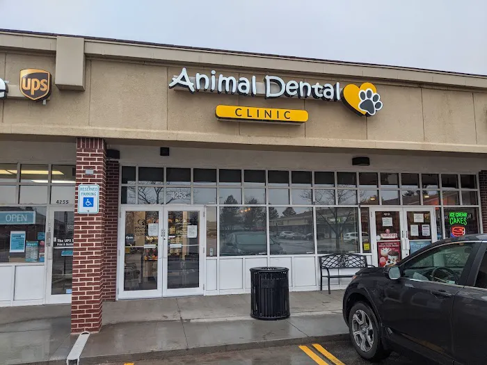 Animal Dental Clinic 12