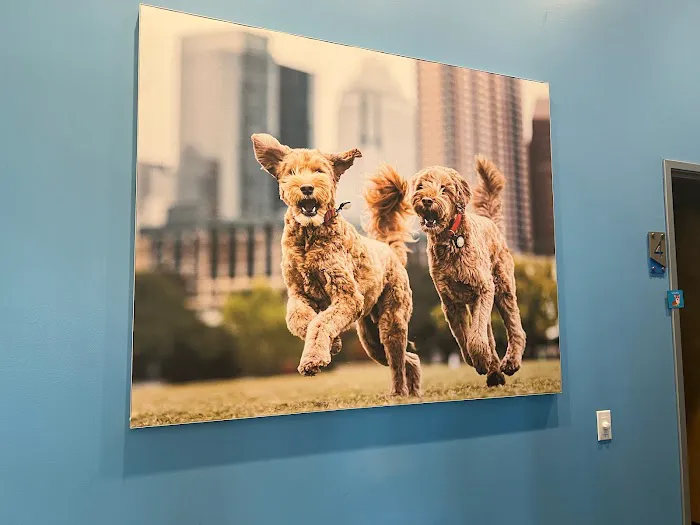 Vetco Total Care Animal Hospital 12