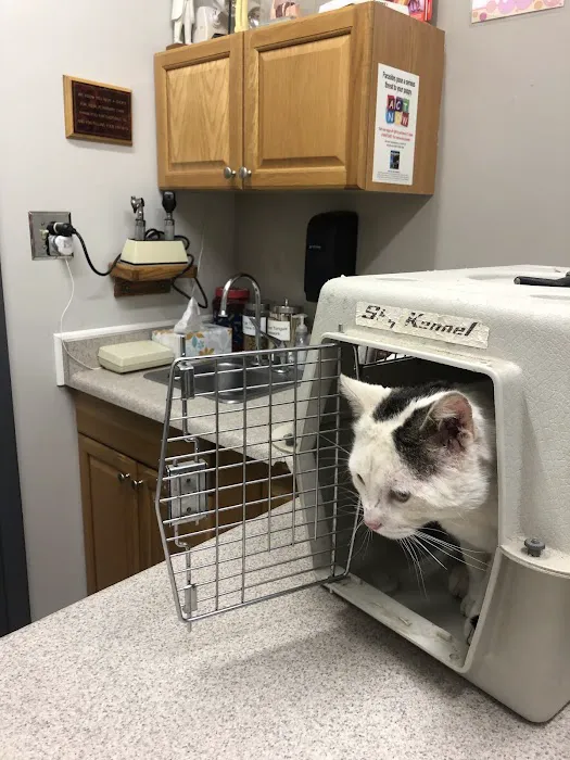 Mission Viejo Veterinary Hospital 6