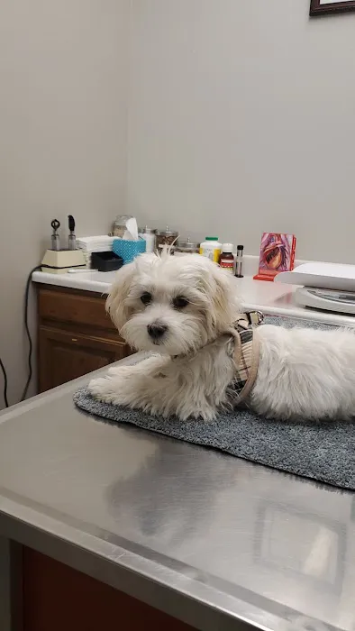 Mission Viejo Veterinary Hospital 5