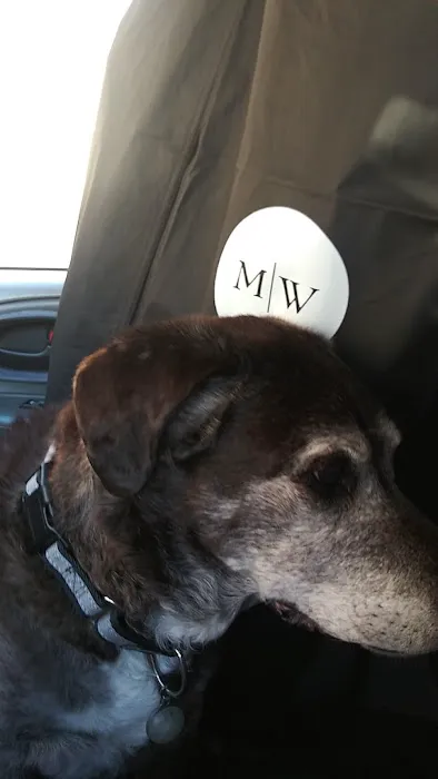 Mission Viejo Veterinary Hospital 1